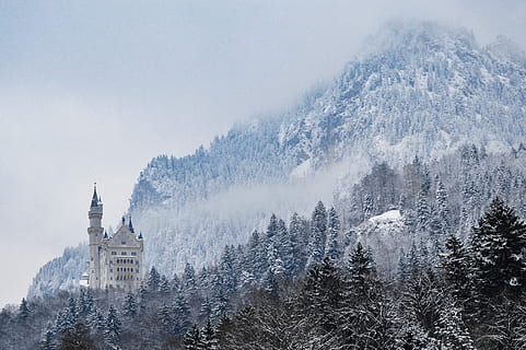 gris, castillo, medio, bosque, nublado, cielo, rodeado, arboles, colina, tiempo de día, edificio, montaña, árbol, nieve, invierno, temperatura fría, planta, paisajes - naturaleza, naturaleza, belleza en la naturaleza, nadie, arquitectura, tierra, estructura construida, exterior del edificio, ambiente, destinos de viaje, Pino, árbol conífero, Montaña cubierta de nieve, al aire libre, bosque de pinos, 5K, CC0, dominio público, libre de derechos