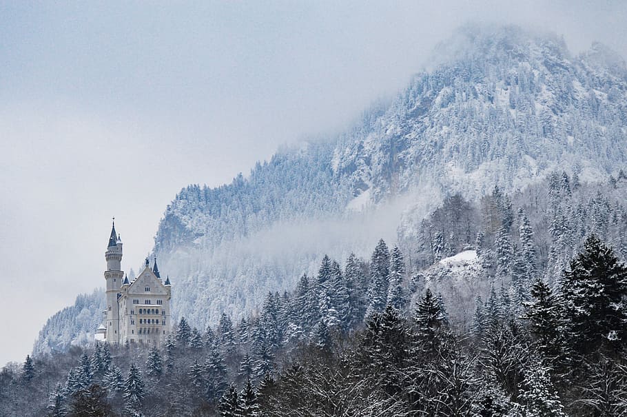 gris, castillo, medio, bosque, nublado, cielo, rodeado, arboles, colina, tiempo de día, edificio, montaña, árbol, nieve, invierno, temperatura fría, planta, paisajes - naturaleza, naturaleza, belleza en la naturaleza, nadie, arquitectura, tierra, estructura construida, exterior del edificio, ambiente, destinos de viaje, Pino, árbol conífero, Montaña cubierta de nieve, al aire libre, bosque de pinos, 5K