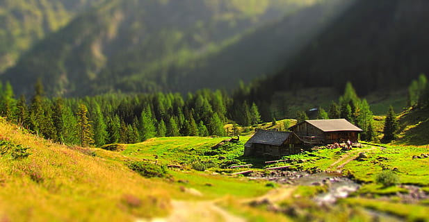 selektiv, fokus fotografering, hus, bjerg, dagtimerne, sommerhus, idyl, Alperne, bjerghytte, tilt skift, natur, Skov, landskab, udendørs, træ, sommer, grøn farve, europæiske alper, plante, jord, skønhed i naturen, scenics - natur, ro, miljø, dag, ingen mennesker, rolig scene, ikke-urbane scene, Mark, hytte, fjern, 1080P, CC0, offentligt domæne, royaltyfrie