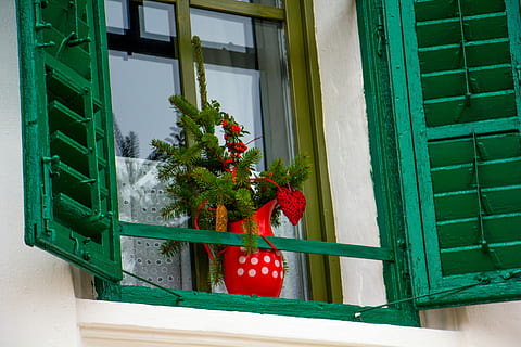 kunstig, rød, petaled blomst, vase, vindue, skodder, blomster, kande, plante, bygget struktur, arkitektur, grøn farve, bygning udvendig, ingen mennesker, bygning, dekoration, vækst, natur, dag, hus, udendørs, boligområde, blomst, blomstrende plante, potteplante, glas - materiale, vindues boks, vinduesramme, blomsterkrukke, 5K, CC0, offentligt domæne, royaltyfrie