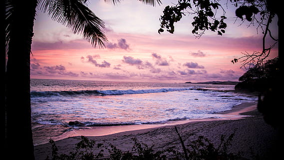 beach, clouds, ocean, sand, sea, seascape, shore, silhouette, sky, trees, water, waves, sunset, land, palm tree, beauty in nature, tree, scenics - nature, horizon over water, tropical climate, cloud - sky, nature, tranquility, wave, horizon, tranquil scene, motion, no people, coconut palm tree, outdoors, tropical tree, 5K, CC0, public domain, royalty free