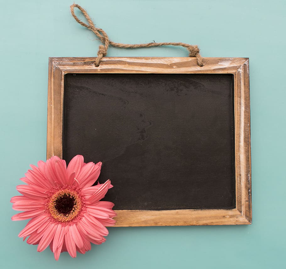 Marrone, nero, lavagna, fiori, sfondo, telaio, legno - materiale, vuoto, sfondi, fiore, copia spazio, cornice, spazio, pianta fiorita, in casa, pianta, nessuno, girato in studio, vecchio, avvicinamento, natura, tavola, testa di fiore, antico, freschezza, 2K