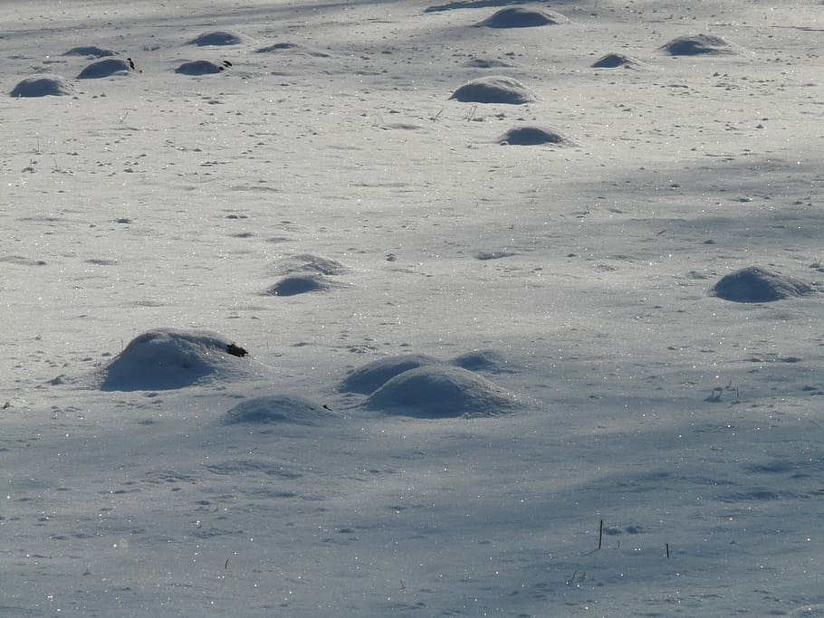 molehill, hivern, fred, hivern, neu, fred, naturalesa, dia, cap gent, Petjada, temperatura de fred, terra, vista d’angle alt, a l'aire lliure, bellesa a la natura, tranquil·litat, paisatge, cobertura, medi ambient, sorra, Color blanc, escena tranquil·la, camp, 2K