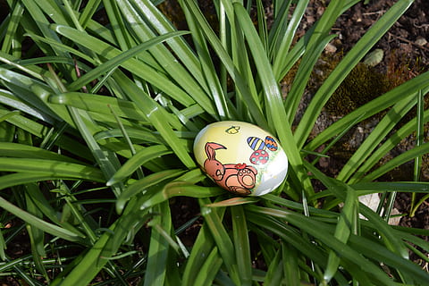 Easter, Egg, Easter Egg, Colorful, easter, egg, green color, high angle view, outdoors, nature, grass, close-up, growth, plant, celebration, food, food and drink, no people, representation, creativity, day, art and craft, holiday, 5K, CC0, public domain, royalty free