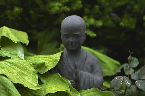 munkin patsas, ympäröimä, kasvit, ulko-, päivä, lähikuva, valokuvaus, harmaa, musta munkki, kuva, sisustus, patsas, puun lehti, kasvi, Buddha, buddhalaisuus, uskonto, hengellisyys, ulkona, luonto, ihmisen edustus, veistos, ei ihmisiä, vihreä väri, kasvi-osa, taide ja käsityö, edustus, miesten samankaltaisuus, kasvu, keskittyä etualalle, luovuus, 5K, CC0, public domain, rojaltivapaa