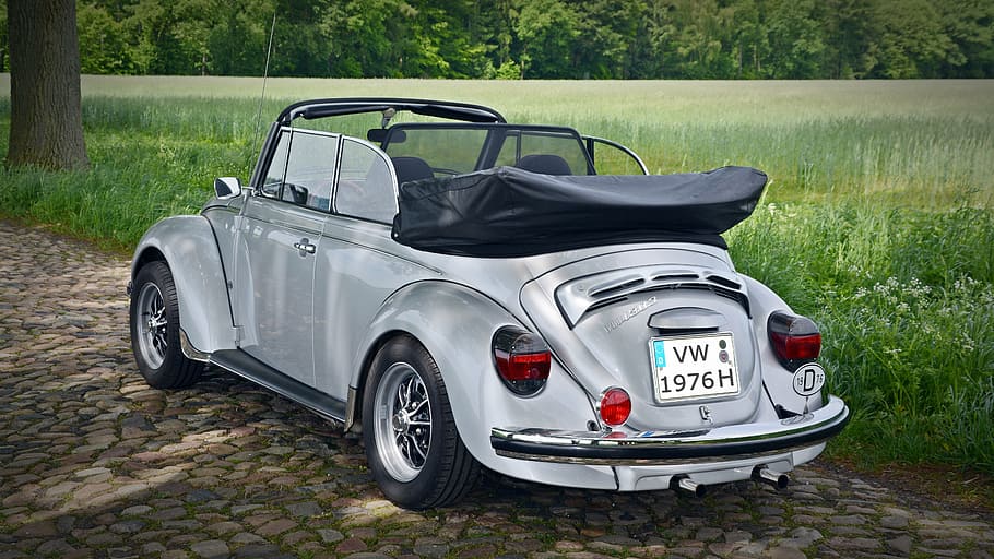 escarabat volkswagen de plata, convertible, coupe, durant el dia, oldtimer, vw, vw beetle, clàssic, Volkswagen, vell, Volkswagen vw, manera de transport, transport, herba, dia, planta, automòbil, naturalesa, cotxe, viatjar, vehicle terrestre, viatge, cap gent, a l'aire lliure, estacionari, esport, terra, arbre, escena no urbana, luxe, sortir, 5K
