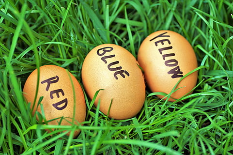 påske, egg, påskeegg, påske, egg, vits, fargeegg, østlig tid, vår, i gresset, piske, tradisjonen av, morsom, ferie, gress, dyr egg, grønn farge, natur, mat, våren, ingen folk, tekst, selektiv fokusering, mat og Drikke, feiring, anlegg, nærbilde, vestlig skript, kreativitet, stilleben, kunst og Håndverk, 5K, CC0, offentlig domene, opphavsrett gratis