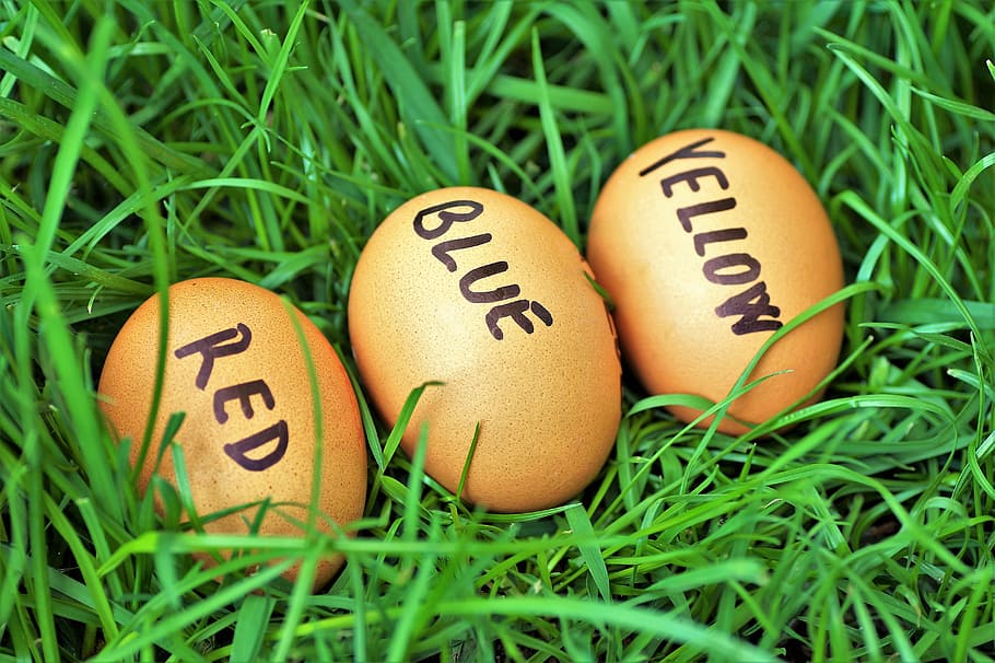 uova di Pasqua, Pasqua, uova, scherzo, uova di colore, ora orientale, primavera, nell'erba, frusta, la tradizione di, divertente, vacanza, erba, uovo animale, colore verde, natura, cibo, uovo di Pasqua, nessuno, uovo, testo, messa a fuoco selettiva, cibo e bevande, celebrazione, pianta, avvicinamento, sceneggiatura occidentale, creatività, natura morta, arte e artigianato, 5K