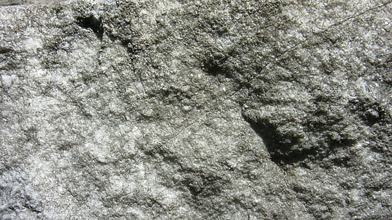 stone, surface, rauh, texture, pattern, background, full frame, backgrounds, no people, day, nature, high angle view, animal themes, animal, animal wildlife, close-up, textured, animals in the wild, outdoors, water, tranquility, land, winter, sea, undersea, marine, 4K, CC0, public domain, royalty free