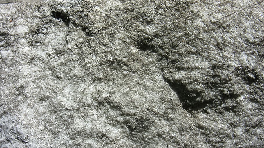 pedra, superfície, rauh, textura, patró, fons, marc complet, cap gent, dia, naturalesa, vista d’angle alt, temes d'animals, animal, fauna animal, primer pla, animals a la natura, a l'aire lliure, aigua, tranquil·litat, terra, hivern, mar, submarí, marí, 4K