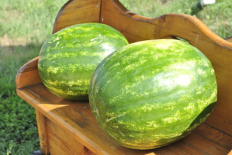 melon, vandmelon, frugt, mad og drikke, grøn farve, sund kost, mad, friskhed, velvære, træ - materiale, dag, ingen mennesker, natur, tæt på, udendørs, stilleben, fokus på forgrunden, plante, bord, sæde, bænk, høj vinkel visning, 4K, CC0, offentligt domæne, royaltyfrie