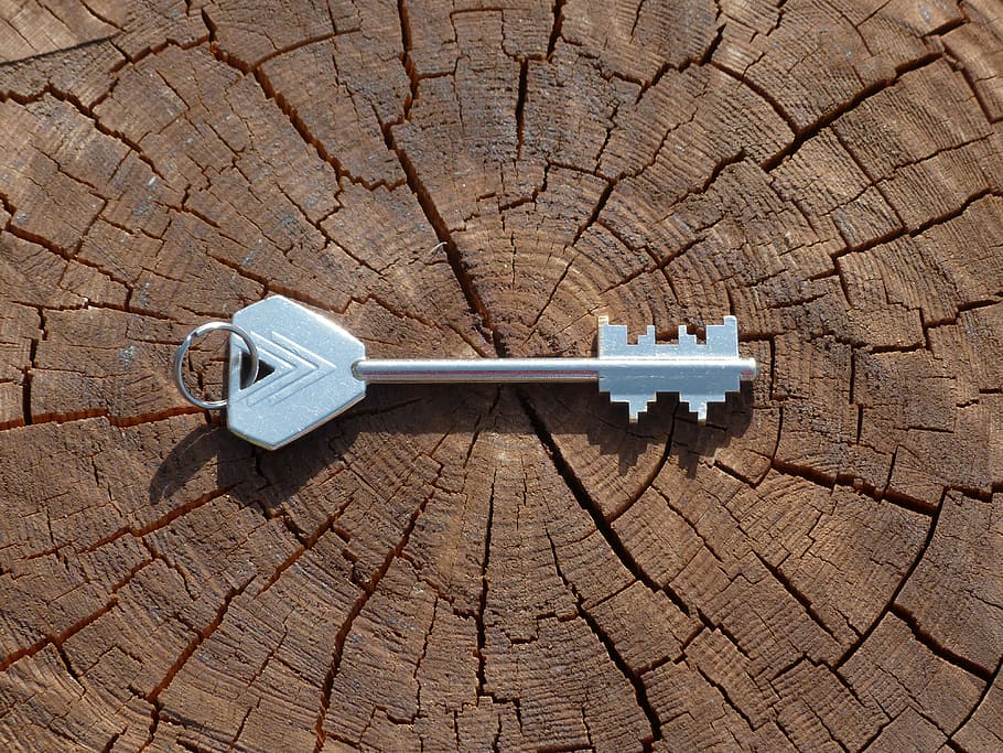 plata, inoxidable, acer, clau, marró, arbre de registre, hora del dia, acer inoxidable, clau d’acer, arbre, dia, temps, clau segura, clau de la porta, obert, maquillatge, fulla, accés, tancar, secret, individualment, eina, metall, misteriós, brilli, bart, claus, clau de l'habitació, seguretat, descobrir, bloqueja a, primer pla, a prop de, castell, col·lecció de claus, esquerdat, cap gent, anell d’arbre, a l'aire lliure, material de fusta, vista d’angle alt, textura, directament a sobre, sol objecte, natura morta, naturalesa, connexió, patró, cable, tecnologia, equipament, aspre, escorça, 4K