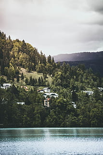 hus, træer, dagtimerne, huse, bjerg fod, omgivet, legeme, vand, lag, natur, sø, landskab, sommer, scenics, bjerg, udendørs, himmel, træ, ingen mennesker, Skov, ferier, rolig scene, plante, skønhed i naturen, vækst, scenics - natur, havnefronten, dag, grøn farve, ikke-urbane scene, ro, arkitektur, bygget struktur, 5K, CC0, offentligt domæne, royaltyfrie