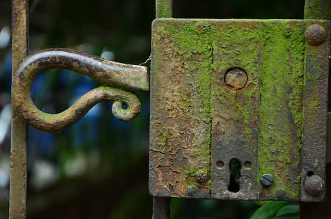 selektiv, fokus fotografering, metal, dagtimerne, slot, dør, låse, gammel, ir, dørlås, rusten, sikkerhed, låser til, dørhåndtag, input, antik, tæt, åben, ingen mennesker, forladt, kirkegård, dag, fokus på forgrunden, tæt på, forvitret, beskyttelse, barriere, udendørs, hegn, grænse, selektiv fokusering, natur, grøn farve, træ - materiale, forringelse, jern - metal, smedejern, 4K, CC0, offentligt domæne, royaltyfrie