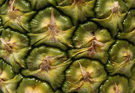 ananas, ovoce, zblízka, makro, tapeta na zeď, Pozadí, ovoce a zelenina, jídlo, zdravý, čerstvé ovoce, čerstvý, sladký, jídlo a pití, Zdravé stravování, celý rám, blahobyt, svěžest, detail, zelená barva, nikdo, vzor, stálý život, texturou, zeleniny, uvnitř, tropické ovoce, artyčok, velká skupina objektů, zralý, 5K, CC0, veřejná doména, bez autorských práv