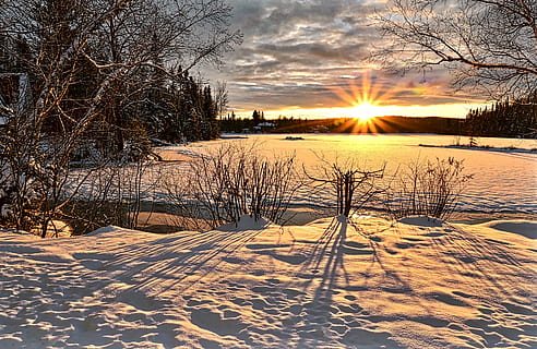 vista del atardecer, naturaleza, invierno, árbol, puesta de sol, crepúsculo, noche, cielo, paisaje, mentira de la naturaleza, colores, contraste, campo, ligero, agua, québec, Canadá, nieve, temperatura fría, planta, luz del sol, Dom, congelado, belleza en la naturaleza, el color blanco, tranquilidad, nadie, paisajes - naturaleza, escena tranquila, árbol desnudo, cubierta, destello de lente, hielo, al aire libre, frío, 5K, CC0, dominio público, libre de derechos