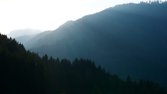 Silhouette des Berges, Bäume bedeckten Berg, Waldberg, Landschaft, Foto, Wald, Baum, Berg, Natur, szenen, draußen, Gebirge, keine Leute, Kiefer, Farbbild, grüne Farbe, Landschaften, Himmel, Schönheit in der Natur, ruhige Szene, Ruhe, Szenen - Natur, Nebel, Pflanze, Nicht-städtische Szene, Umgebung, Land, Silhouette, Wachstum, Nadelbaum, Kiefernwald, 5K, CC0, gemeinfrei, lizenzfrei