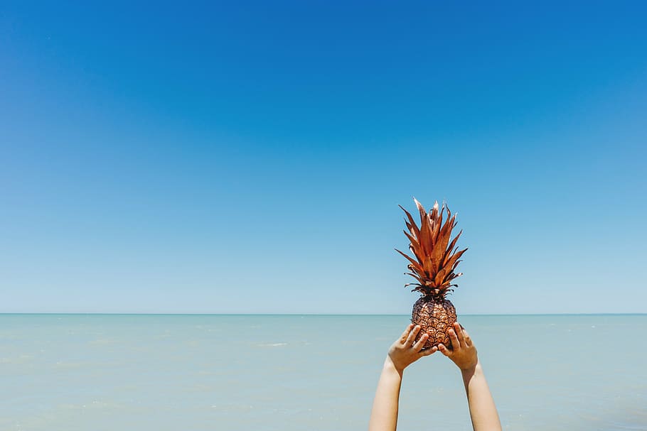 persona, aixecament, fruita de pinya, pinya, postres, aperitiu, fruita, suc, cultiu, platja, oceà, mar, sorra, gent, mà, blau, cel, només dones, una sola dona, una persona, només adults, part del cos humà, cel clar, aigua, horitzó sobre l’aigua, horitzó, còpia espai, mà humana, activitat d'oci, naturalesa, part del cos, dia, viatge, terra, extremitat humana, a l'aire lliure, pentinat, braç humà, 5K