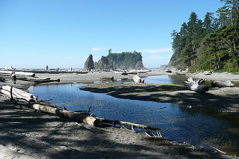 playa rubí, playa, washington, Estados Unidos, paisaje, Washington, orilla, Pacífico, parque olimpico nacional, naturaleza, playa, agua, al aire libre, cielo, día, nadie, mar, escena tranquila, tranquilidad, belleza en la naturaleza, paisajes - naturaleza, árbol, tierra, luz del sol, azul, rock, escena no urbana, cielo limpio, idílico, 720P, CC0, dominio público, libre de derechos