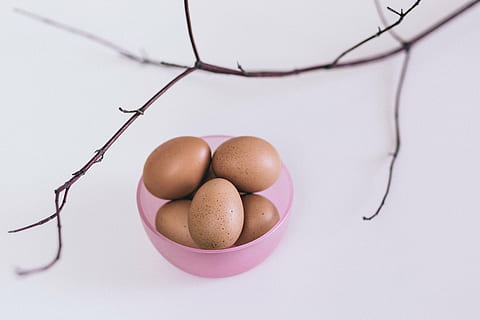 bruin, eieren, roze, plastic schaal, houder, stam, kom, voedsel, dierlijk ei, Pasen, natuur, ei, eten en drinken, geen mensen, studio opname, versheid, welzijn, binnenshuis, gezond eten, stilleven, breekbaarheid, groep objecten, witte achtergrond, rauw eten, kwetsbaarheid, detailopname, middelgrote groep objecten, tafel, Purper, 2K, CC0, publiek domein, royaltyvrij