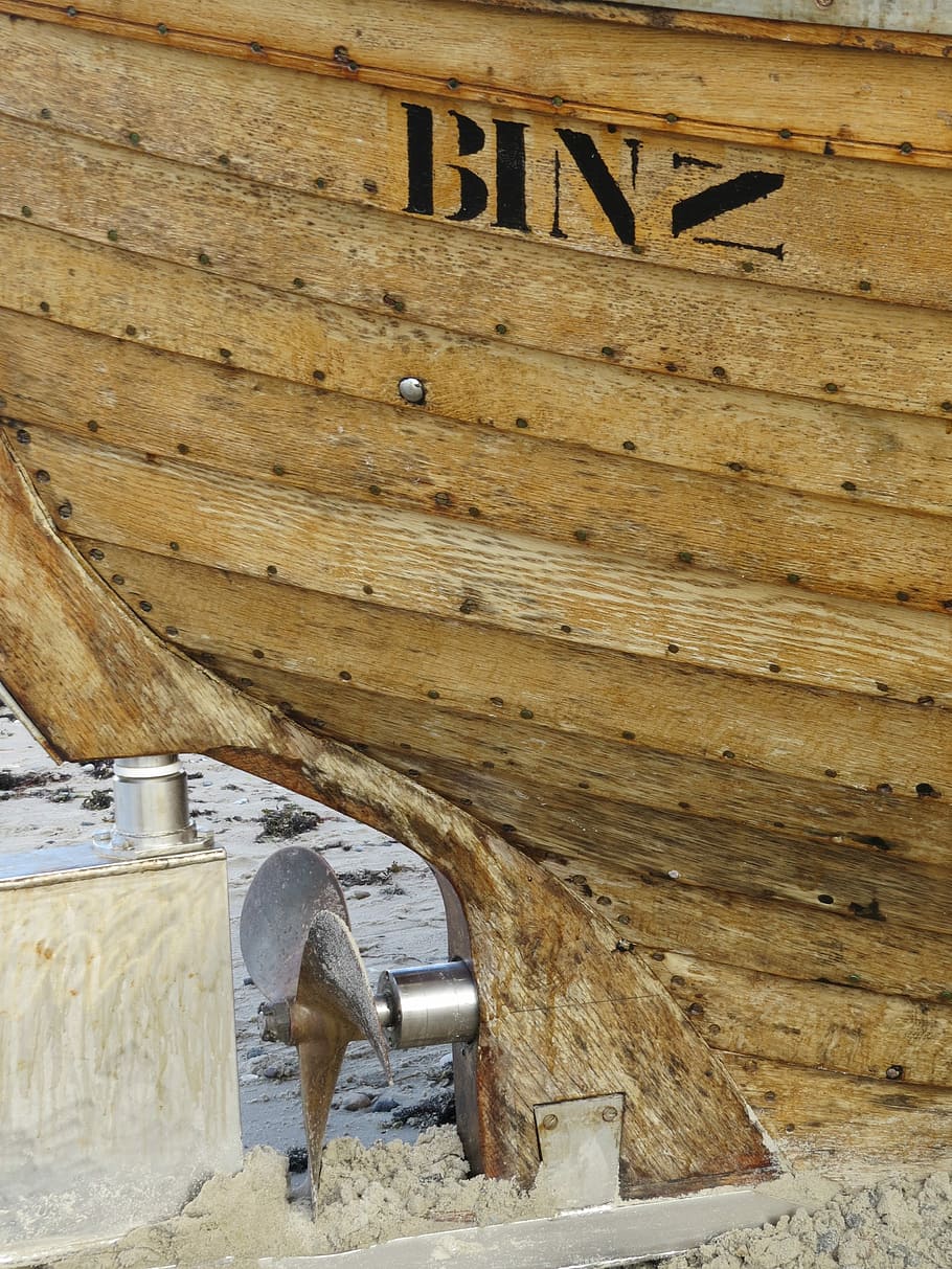 arrencada, binz, hèlix, fusta, rügen, lloc de construcció, material de fusta, arquitectura, estructura construïda, casa, dia, un animal, cap gent, animal, a l'aire lliure, temes d'animals, mamífer, exterior de l'edifici, animals domèstics, naturalesa, nacional, història, vertebrats, el passat, pont, terra, mascotes, columna arquitectònica, 4K