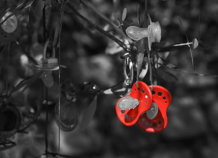 chupete, árbol chupete, tradicion, rojo, bebé, calmante, parque, ck, nadie, centrarse en primer plano, de cerca, día, al aire libre, árbol, colgando, naturaleza, planta, rama, metal, vacaciones, decoración, creatividad, comida, Arte y artesanía, ramita, forma de corazón, enfoque selectivo, 1080P, CC0, dominio público, libre de derechos
