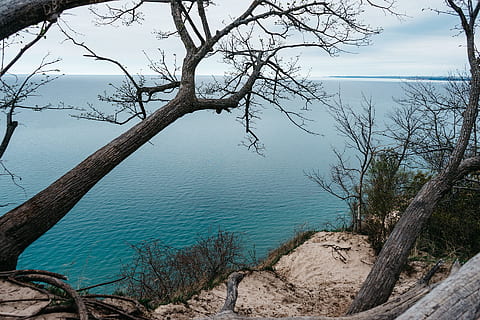 sjø, tre, klippe, klippe, hav, tre, vann, anlegg, ro, skjønnhet i naturen, rolig scene, naturskjønnhet - natur, himmel, natur, gren, dag, Strand, stamme, trestamme, bare tre, ikke-urbane scene, ingen folk, land, utendørs, horisont over vann, 1080P, CC0, offentlig domene, opphavsrett gratis