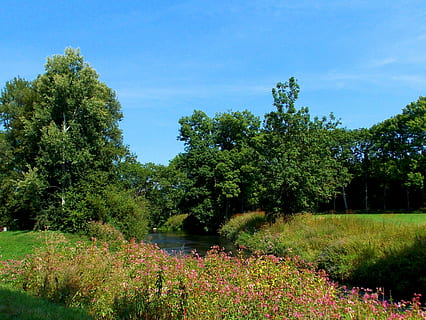 landskap, rapportert, elv, trær, natur, fotturer, gressplanter, Urter, sommer, anlegg, vekst, tre, skjønnhet i naturen, ro, himmel, rolig scene, grønn farge, naturskjønnhet - natur, land, blomst, blomstrende plante, felt, dag, miljø, gress, vann, ingen folk, utendørs, 2K, CC0, offentlig domene, opphavsrett gratis