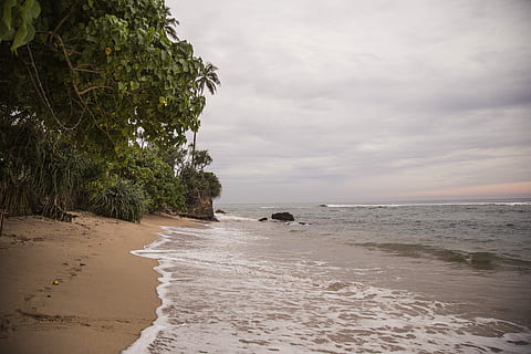 grön, träd, kropp, vatten, vattenkropp, brun, moln, grå, rosa, hav, Strand, solnedgång, vågor, natur, sand, kustlinje, våg, utomhus, scenics, landskap, himmel, inget folk, vattenkant, sommar, rese platser, tropiskt klimat, moln - himmel, landa, skönhet i naturen, scenics - natur, lugn, horisont över vatten, horisont, växt, lugn plats, idyllisk, rörelse, 5K, CC0, offentligt domän, royaltyfria