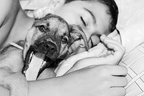 ohne Titel, Schlafen, Hund, Kind, Eckzahn, inländisch, ein Tier, Säugetier, Haustiere, Tier, Tierthemen, Entspannung, hinlegen, Liebe, Emotion, positive Emotionen, Möbel, eine Person, drinnen, umarmen, Haustierbesitzer, klein, 5K, CC0, gemeinfrei, lizenzfrei