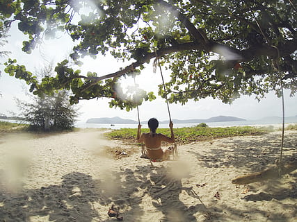 Frau, Sitzung, Swing, Grün, Baum, gegenüber, Karosserie, Wasser, tagsüber, mit, Ast, auf dem Stuhl, Meer, Strand, Sand, Urlaub, Natur, draußen, Menschen, Sommer-, Urlaube, tropisches Klima, Rückansicht, eine Person, nur eine frau, nur Frauen, Freizeitbeschäftigung, Lebensstile, echte Menschen, Pflanze, Schönheit in der Natur, Tag, Sonnenlicht, Wachstum, Land, Entspannung, Seilschaukel, 4K, CC0, gemeinfrei, lizenzfrei
