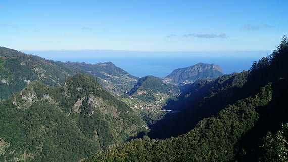 madeira, levada, vista, paisatge, portugal, escenics - natura, muntanya, medi ambient, cel, bellesa a la natura, terra, Serra, arbre, naturalesa, planta, aigua, tranquil·litat, blau, cap gent, bosc, a l'aire lliure, escena tranquil·la, escena no urbana, vall, pi, arbre de coníferes, bosc de pi, 4K, CC0, domini públic, lliure de regalies