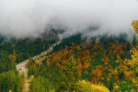 boira, oberstdorf, arbres, bosc, suedallgaeu, muntanyes, paisatge, naturalesa, alpí, panorama, tardor, núvols, arbre, planta, bellesa a la natura, terra, escenics - natura, medi ambient, muntanya, escena tranquil·la, tranquil·litat, cap gent, pi, bosc de pi, arbre de coníferes, pinàcies, a l'aire lliure, arbre de fulla perenne, canvi, smog, 5K, CC0, domini públic, lliure de regalies