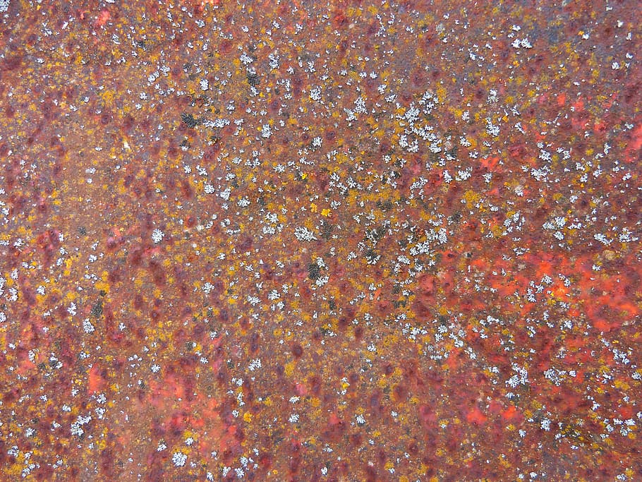 achtergrond, oxyde, roestig, korstmossen, weer, abstract, patroon, muur, structuur, volledig kader, achtergronden, geen mensen, rood, multi gekleurd, getextureerde, detailopname, Oranje kleur, dag, buitenshuis, natuur, overvloed, hoge hoekmening, stilleven, schoonheid in de natuur, eten en drinken, ruw, water, 4K