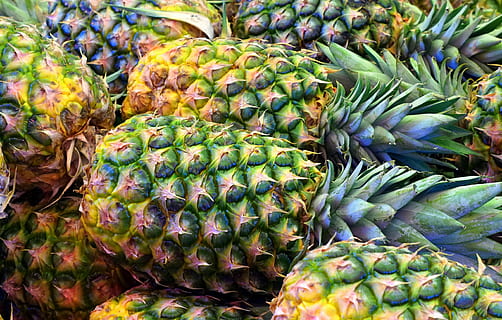 Nahaufnahmefoto, Ananasfrüchte, Ananas, Obst, gesundes Essen, Essen und Trinken, Frische, Wohlbefinden, Lebensmittel, Markt, Verkauf, Tropische Frucht, Hintergründe, grüne Farbe, zu verkaufen, keine Leute, Tag, Vollbild, Nahansicht, Fülle, Marktstand, große gruppe von gegenständen, draußen, 4K, CC0, gemeinfrei, lizenzfrei