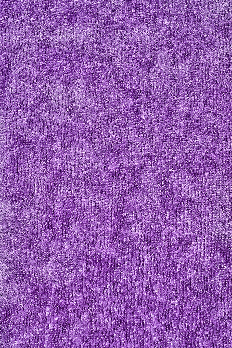 tèxtil morat, textura, tovallola, terry, fons, serenevyj, tèxtil, material, patró, primer pla, teixit, macro, resum, marc complet, color rosa, porpra, cap gent, magenta, llana, esponjós, suavitat, a l'interior, directament a sobre, indústria tèxtil, catifa, vellut, peça, 4K