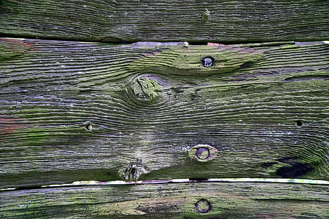 avvio, nave, kahn, vecchio, legno, vecchio, legna, malaticcio, rotto, Müritz, sfondo, intemperie, sfondi, natura, legno - materiale, all'aperto, increspato, nessuno, modello, strutturato, fotogramma intero, modello naturale, pianta, giorno, albero, avvicinamento, colore verde, acqua, astratto, muschio, terra, bellezza nella natura, venatura del legno, effetto strutturato, 5K, CC0, dominio pubblico, privo di copyright