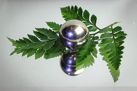 decorazione, del desktop, foglia, flora, natura, palla, sfera, verde, brillante, il giro, ramo vegetale, parte vegetale, colore verde, in casa, celebrazione, riflessione, girato in studio, nessuno, vacanza, Natale, natura morta, avvicinamento, decorazione natalizia, ornamento di Natale, cibo, color argento, piccolo, 5K, CC0, dominio pubblico, privo di copyright