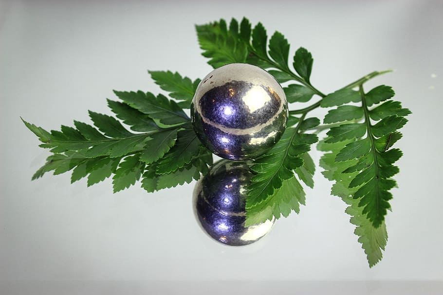 decorazione, del desktop, foglia, flora, natura, palla, sfera, verde, brillante, il giro, ramo vegetale, parte vegetale, colore verde, in casa, celebrazione, riflessione, girato in studio, nessuno, vacanza, Natale, natura morta, avvicinamento, decorazione natalizia, ornamento di Natale, cibo, color argento, piccolo, 5K