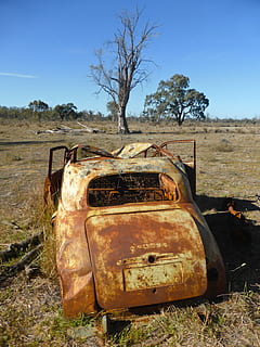 sagrautas, rusted, auto, priekšā, tukša, koks, transportlīdzekli, smashed, laika apstākļi, rusty, vecs, bojājumus, pamesta, salauzts, rūsas, samazinās, lūžņi, bezjēdzīgi, sadalīties, oksidācija, automašīnu, korozija, degradācija, pamestas, nolaidība, junk, metāla, oksidēts, atkritumi, deģenerācija, bojāts, novecojusi, jomā, samazināšanās, pasliktināšanos, zeme, debesis, nolietojies, augu, slikts stāvoklis, dienā, transporta veids, ainavu, mehānisko transportlīdzekli, raksturs, nav cilvēku, izpostīta, ārā, 4K, CC0, publiskais domēns, bez atlīdzības