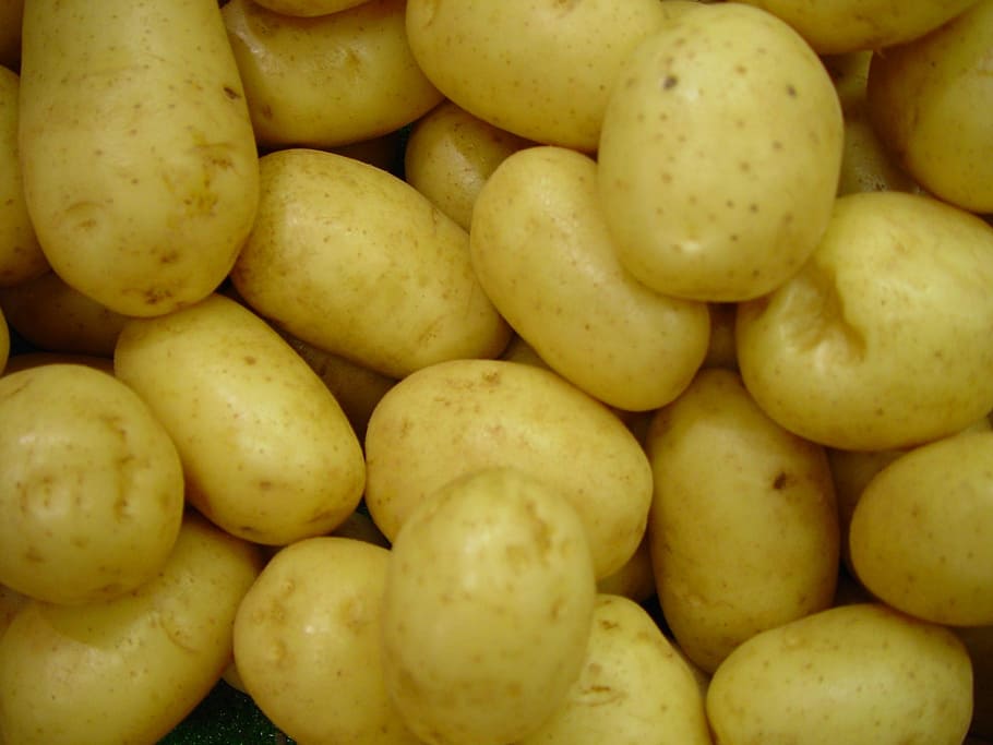 kartofler, grøntsager, rå, ubehandlede, frisch, vegetarisk, kartoffel, mad, ingrediens, spise, rod, mad og drikke, sund kost, baggrunde, overflod, stor gruppe af objekter, friskhed, fuld ramme, detail, velvære, marked, til salg, ingen mennesker, frugt, markedsbod, tæt på, stilleben, bunke, grøntsag, dag, moden, 2K