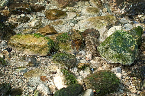 baggrund, struktur, mønster, sten, klippe, kampesten, rock-objekt, natur, sten - objekt, udendørs, baggrunde, ingen mennesker, rullesten, mos, lichen, dag, solid, tekstureret, høj vinkel visning, vand, skønhed i naturen, ru, rock formation, ro, grøn farve, vækst, fuld ramme, eroderet, 5K, CC0, offentligt domæne, royaltyfrie