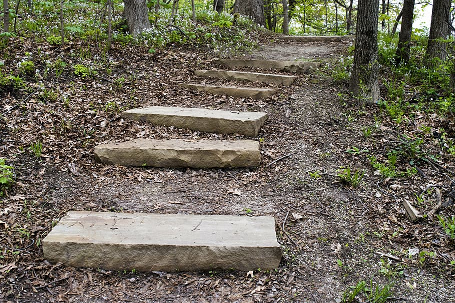 boschi, passaggi, foresta, verde, parco, all'aperto, sentiero, alberi, camminare, escursioni a piedi, pista, paesaggio, natura, roccia, le scale, escursione, naturale, autunno, pietra, fogliame, tempo libero, passerella, a piedi, terra, pianta, albero, nessuno, giorno, scala, solido, crescita, la tranquillità, materiale lapideo, campo, scena tranquilla, pietra - oggetto, legno - materiale, vuoto, vecchio, sporco, 5K