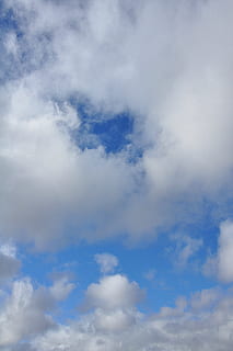 núvol, cel, ennuvolat, coberta de núvols, fons, imatge de fons, paisatge, naturalesa, blau, al matí, núvols de cúmuls, demà, dia, durant el dia, vertical, núvol - cel, vista d’angle baix, bellesa a la natura, tranquil·litat, escenics - natura, cap gent, escena tranquil·la, Color blanc, cloudscape, idíl·lic, a l'aire lliure, marc complet, medi ambient, esponjós, meteorologia, suavitat, 4K, CC0, domini públic, lliure de regalies