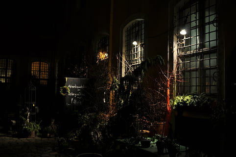baggård, hof, nat, mørk, belyst, bygning udvendig, arkitektur, bygget struktur, plante, gade, gadebelysning, ingen mennesker, by, bygning, natur, træ, vindue, udendørs, belysningsudstyr, boligområde, vækst, vedbend, elektrisk lampe, 4K, CC0, offentligt domæne, royaltyfrie