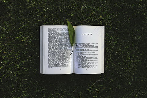 foto, aberto, livro, folha, chpter, seis, grama, ler, leitura, cartas, página, verde, natureza, Bíblia, religião, plantar, terra, campo, publicação, visão de alto ângulo, papel, dia, texto, ninguém, diretamente acima, abrir, ao ar livre, crescimento, roteiro ocidental, Educação, cor branca, prateado colorido, 5K, CC0, domínio público, royalty free