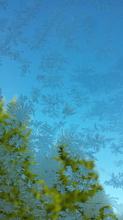 frost, vindue, bil, træer, isnende, kold, glas, is, vinter, matteret, formation, glasur, Frosset, frost-, plante, natur, ingen mennesker, skønhed i naturen, dag, træ, ro, himmel, vækst, vand, baggrunde, udendørs, kold temperatur, blå, fuld ramme, sne, tæt på, 4K, CC0, offentligt domæne, royaltyfrie