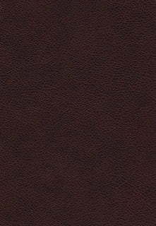 Leder, Texturen, Hintergrund, Stoff, roh, Dekor, Material, Muster, Kunst, Haut, Künstler, erstellen, kreativ, Tapete, Möbel, Pelz, Bereich, natürlich, Qualität, hoch, echte Feder, Professionel, künstlerisch, Kreativität, Design, dunkel, Hintergründe, texturiert, abstrakt, Vollbild, Nahansicht, Rau, keine Leute, braun, Makro, extreme Nahaufnahme, kopieren sie platz, Struktureffekt, Textil-, rot, Betonmauer, die Architektur, Wandbau - Funktion, alt, leer, Beton, Antiquität, Oberflächenniveau, abstrakte Hintergründe, 2K, CC0, gemeinfrei, lizenzfrei