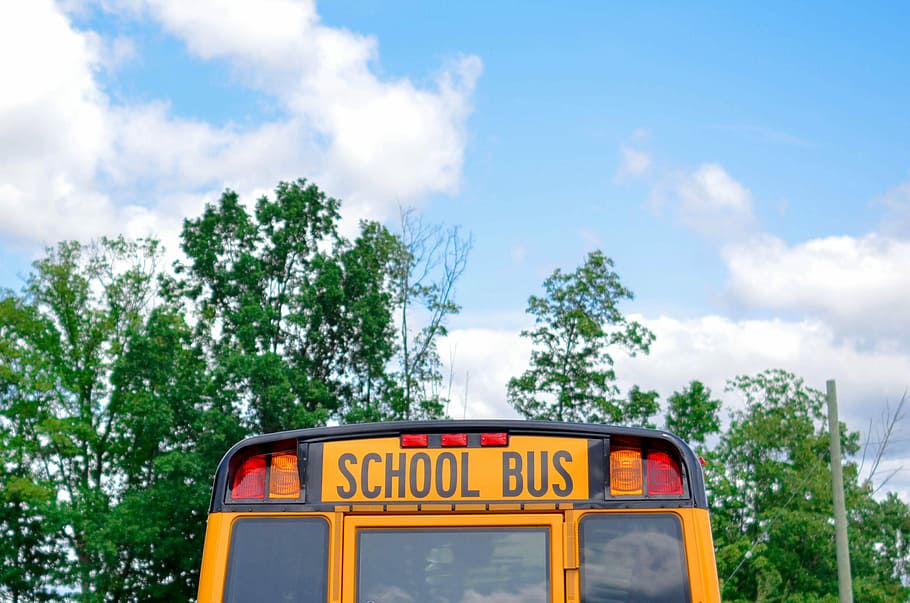Schulbus, Grün, Bäume, wolkig, Himmel, tagsüber, Gelb, Wolken, Bus, Schule, Transport, Text, wolke - himmel, westliche Schrift, Baum, Kommunikation, Pflanze, Natur, Tag, Zeichen, draußen, keine Leute, öffentliche Verkehrsmittel, Transportmittel, Flachwinkelansicht, Taxi, Großbuchstabe, 2K