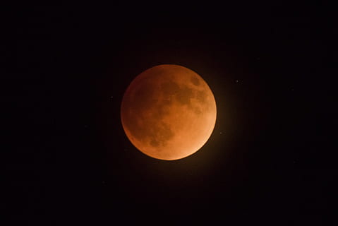 cheio, lua, Sombrio, fundo, lua de sangue, eclipse, céu, Super Lua, noite, astronomia, laranja, luar, celestial, universo, Preto, cosmos, parque nacional de joshua tree, Califórnia, EUA, espaço, beleza na natureza, scenics - natureza, forma geométrica, lua cheia, círculo, tranquilidade, fenómeno natural, lua planetária, majestoso, forma, cor laranja, cena tranquila, idílico, superfície da lua, ninguém, ao ar livre, espaço e astronomia, 1080P, CC0, domínio público, royalty free